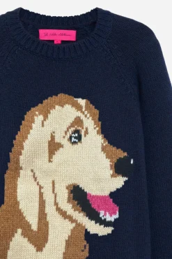 The Elder Statesman Retriever Raglan Crew